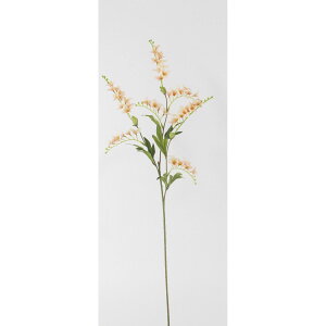 yԁzr_R/A[`t[Xv[ s[`/V24118-006PEAy01z[12{] ԁiA[eBtBVt[j  ԍށusv ̑usvԉԍ