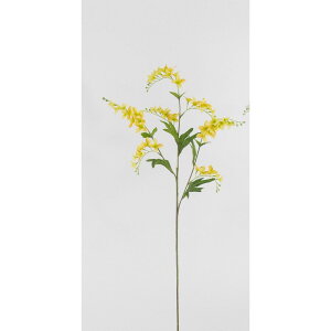 yԁzr_R/A[`t[Xv[ CG[/V24118-004Yy01z[12{] ԁiA[eBtBVt[j  ԍށusv ̑usvԉԍ