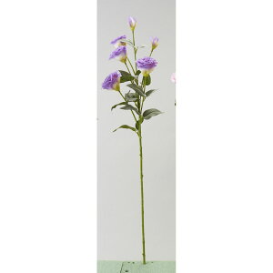 yԁzr_R/VATX x_[/N[/F4117-193L/Cy01z[12{] ԁiA[eBtBVt[j  ԍށusv gRLLE