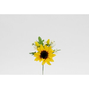 yԁzr_R/q}sbN CG[/V22112-004Yy01z[24{] ԁiA[eBtBVt[j  ԍށu͍sv Ђ܂