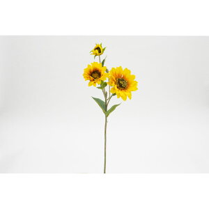 yԁzr_R/Tt[ CG[/V24111-004Yy01z[24{] ԁiA[eBtBVt[j  ԍށu͍sv Ђ܂