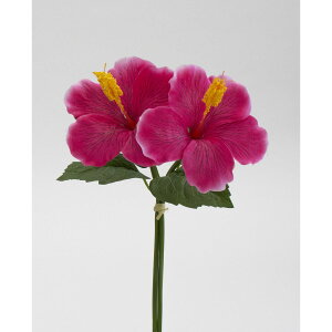 yԁzr_R/nCrXJX(2{/) sN/V24144-002Py01z[12] ԁiA[eBtBVt[j  ԍށu͍sv nCrXJX