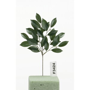 yԁzr_R/TJL() O[/F3424-024Gy01z[48{] ԁiA[eBtBVt[j ԗtAtFCNO[ TJL