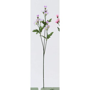 yԁzr_R/e p[v/zCg/F4049-245PP/Wy01z[48{] ԁiA[eBtBVt[j  ԍށusv LNiejEs|}