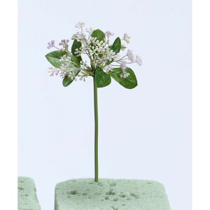 yԁzr_R/VL~AsbN N[/x_[/F3955-129C/Ly01z[24{] ԁiA[eBtBVt[j  usv VL~A