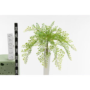 yԁzr_R/AWA^ O[/GA0137-024Gy01z[12{] ԁiA[eBtBVt[j ԗtAtFCNO[ t@[