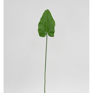 yԁzr_R/J[[t O[/V23088-024Gy01z[36{] ԁiA[eBtBVt[j  ԍށusv J[