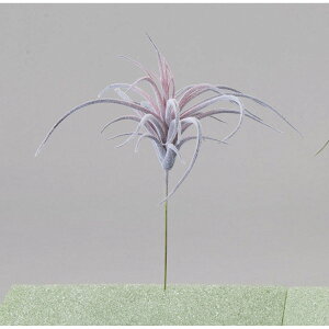 yԁzr_R/eBWA bh/FD3772-003Ry01z[12{] ԁiA[eBtBVt[j ԗtAtFCNO[ A