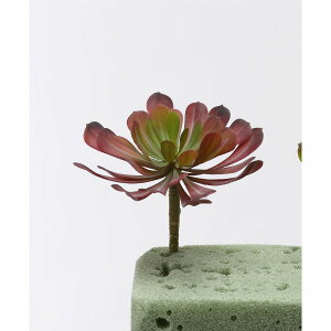 yԁzr_R/GPxA o[KfB/FD4068-007BURy01z[12{] ԁiA[eBtBVt[j ԗtAtFCNO[ A