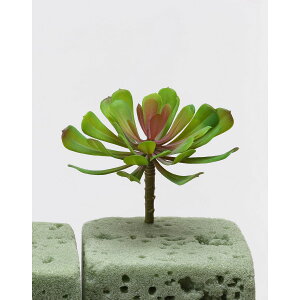 yԁzr_R/GPxA O[/FD4068-024Gy01z[12{] ԁiA[eBtBVt[j ԗtAtFCNO[ A