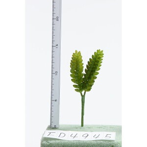 yԁzr_R/OZ_ O[/FD4945-024Gy01z[24{] ԁiA[eBtBVt[j  ԍށusv Z_