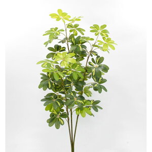 yzylHϗtAzr_R/VFt(S) O[/CG[/V25099-186G/Y ԕiEELZsy01z[2{] ԁiA[eBtBVt[j ԗt ԁElHϗt