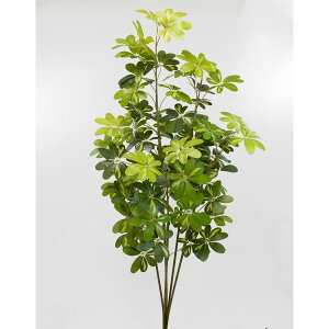 yzylHϗtAzr_R/VFt(M) O[/CG[/V25100-186G/Y ԕiEELZsy01z[2{] ԁiA[eBtBVt[j ԗt ԁElHϗt