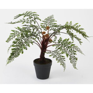 ylHϗtAzr_R/AWA^|bg O[/FD3702-024Gy01z[6{] ԁiA[eBtBVt[j ԗt ԁElHϗtA `50cm