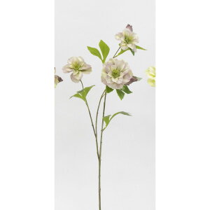 yԁzr_R/m[uNX}X[Y N[/p[v/V23162-132C/PPy01z[6{] ԁiA[eBtBVt[j  ԍށusv NX}X[Y