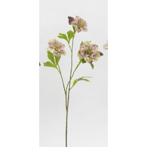 yԁzr_R/m[uNX}X[Y x_[/O[/V23162-194L/Gy01z[6{] ԁiA[eBtBVt[j  ԍށusv NX}X[Y