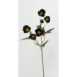 yԁzr_R/NX}X[YXv[ r[eB/V24208-016BTYy01z[12{] ԁiA[eBtBVt[j  ԍށusv NX}X[Y