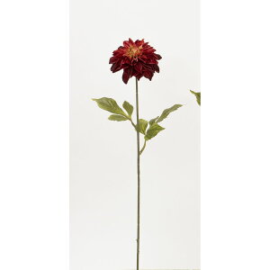 yԁzr_R/_A bh/P4863-003Ry01z[12{] ԁiA[eBtBVt[j  ԍށusv _A