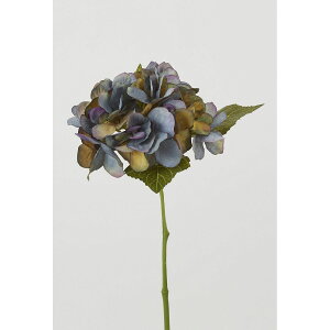 yԁzr_R/sbN u[/GA0282-005By01z[24{] ԁiA[eBtBVt[j  ԍށusv izԁj