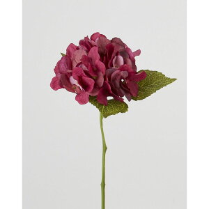 yԁzr_R/sbN C/GA0282-014WINEy01z[24{] ԁiA[eBtBVt[j  ԍށusv izԁj