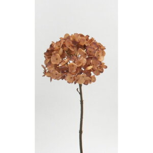 yԁzr_R/hCnChWA bh/uE/V22150-248R/BRy01z[12{] ԁiA[eBtBVt[j  ԍށusv izԁj