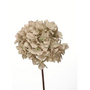 yԁzr_R/nChWA N[/Z0061-037Cy01z[6{] ԁiA[eBtBVt[j  ԍށusv izԁj