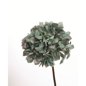 yԁzr_R/nChWA _[N/u[/Z0061-033DK/By01z[6{] ԁiA[eBtBVt[j  ԍށusv izԁj