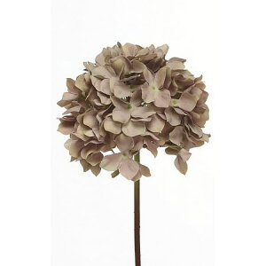 yԁzr_R/nChWA OC/Z0061-015GREYy01z[6{] ԁiA[eBtBVt[j  ԍށusv izԁj