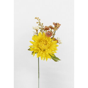 yԁzr_R/]K[x~bNXsbN CG[/V24166-004Yy01z[36{] ԁiA[eBtBVt[j  ԍށusv K[x