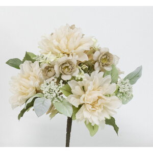 yԁzr_R/_At[ubV x[W/V24204-013BEIGEy01z[6{] ԁiA[eBtBVt[j  ԍށusv _A