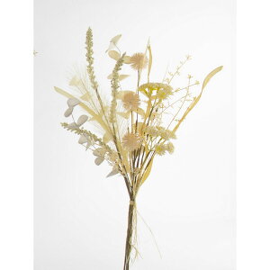 yԁzr_R/t@C[XNVbNu[P x[W/V25154-013BEIGEy01z[6] ԁiA[eBtBVt[j  ԍށu͍sv ̑u͍svԉԍ