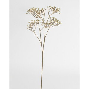 yԁzr_R/hCWv\Xv[ x[W/V25106-013BEIGEy01z[24{] ԁiA[eBtBVt[j  ԍށusv ݑ