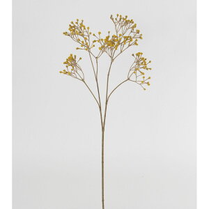 yԁzr_R/hCWv\Xv[ CG[/V25106-004Yy01z[24{] ԁiA[eBtBVt[j  ԍށusv ݑ