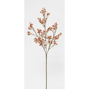 yԁzr_R/A[`Wv\Xv[ [u/V24174-042MAUy01z[12{] ԁiA[eBtBVt[j  ԍށusv ݑ