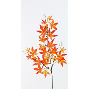 yԁzr_R/݂ bh/IW/V23119-028R/Oy01z[12{] ԁiA[eBtBVt[j Ԏ} ~WEC`E