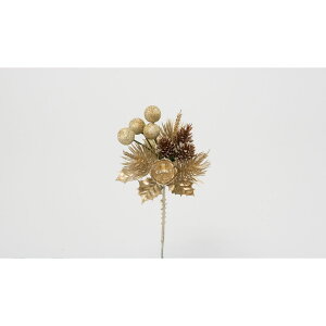 yԁzr_R/mGVp~bNXsbN Vp/V25166-138CHAMy01z[24{] ԎށEt[Xg t[sbN NX}XsbN