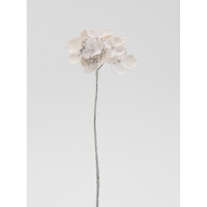 yԁzr_R/eBnChWAsbN \tg/sN/V22170-046ST/Py01z[24{] ԁiA[eBtBVt[j  ԍށusv izԁj