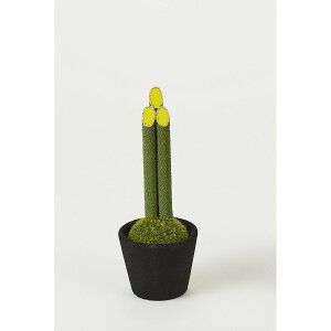 r_R/叼|bg(S) O[/2070C-024Gy01z[12] ԁiA[eBtBVt[j Ԏ} 