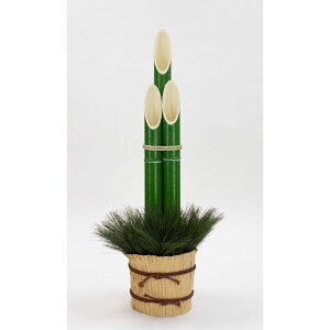 yzr_R/叼 O[/2128C-024G ԕiEELZsy01z ԁiA[eBtBVt[j Ԏ} 