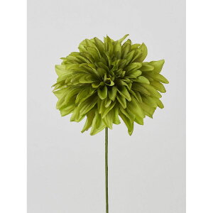 yԁzr_R/_AsbN O[/J0424-024Gy01z[24{] ԁiA[eBtBVt[j  ԍށusv _A