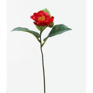 yԁzr_R/LAsbN bh/1460D-003Ry01z[24{] ԁiA[eBtBVt[j  ԍށusv coLiցj