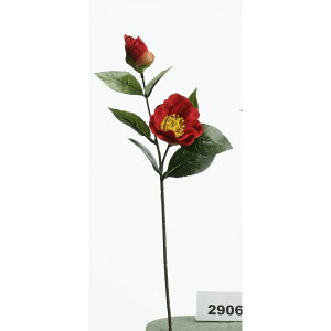 yԁzr_R/փsbN bh/2906F-003Ry01z[24{] ԁiA[eBtBVt[j  ԍށusv coLiցj