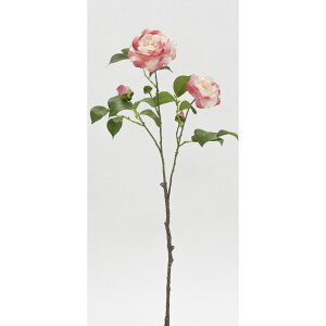 yԁzr_R/ zCg/sN/V22160-275W/Py01z[12{] ԁiA[eBtBVt[j  ԍށusv coLiցj