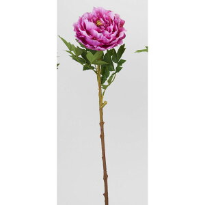 yԁzr_R/NC[sIj[ r[eB/TC0001-016BTYy01z[12{] ԁiA[eBtBVt[j  ԍށusv VNNi䉖jE{^iOjEsIj[