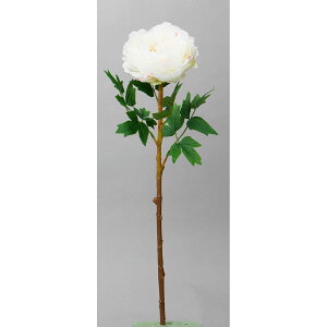 yԁzr_R/NC[sIj[ zCg/TC0001-001Wy01z[12{] ԁiA[eBtBVt[j  ԍށusv VNNi䉖jE{^iOjEsIj[