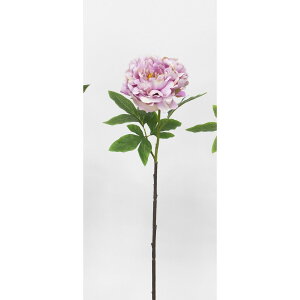 yԁzr_R/IG^sIj[ [u/V24162-042MAUy01z[12{] ԁiA[eBtBVt[j  ԍށusv VNNi䉖jE{^iOjEsIj[