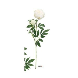 yԁzr_R/sIj[Xv[ N[/VR23053-037Cy01z[12{] ԁiA[eBtBVt[j  ԍށusv VNNi䉖jE{^iOjEsIj[