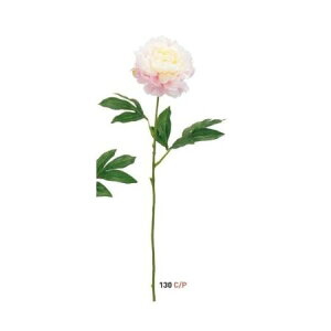 yԁzr_R/GKgsIj[ N[/sN/VR24094-130C/Py01z[12{] ԁiA[eBtBVt[j  ԍށusv VNNi䉖jE{^iOjEsIj[