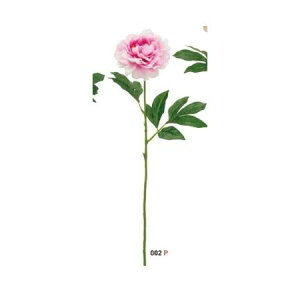 yԁzr_R/GKgsIj[ sN/VR24094-002Py01z[12{] ԁiA[eBtBVt[j  ԍށusv VNNi䉖jE{^iOjEsIj[