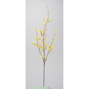 yԁzr_R/ME CG[/V22244-004Yy01z[12{] ԁiA[eBtBVt[j  ԍށusv ME